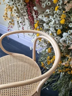 Thonet 209 Armstol, ask fra><noscript><img width=