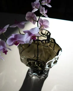 Hein Studio Ammonit Vase, new smoke fra><noscript><img width=