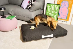 Fatboy Doggielounge Olefin Large - Hundekurv fra> Sækkestole