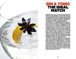 New Mags Gin & Tonic fra> Gaver Til Ham|Bøger