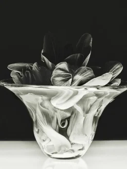 Louise Roe S.R. Vintage Bowl Deco Clear fra><noscript><img width=